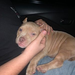 Meet your Posher, Nathan